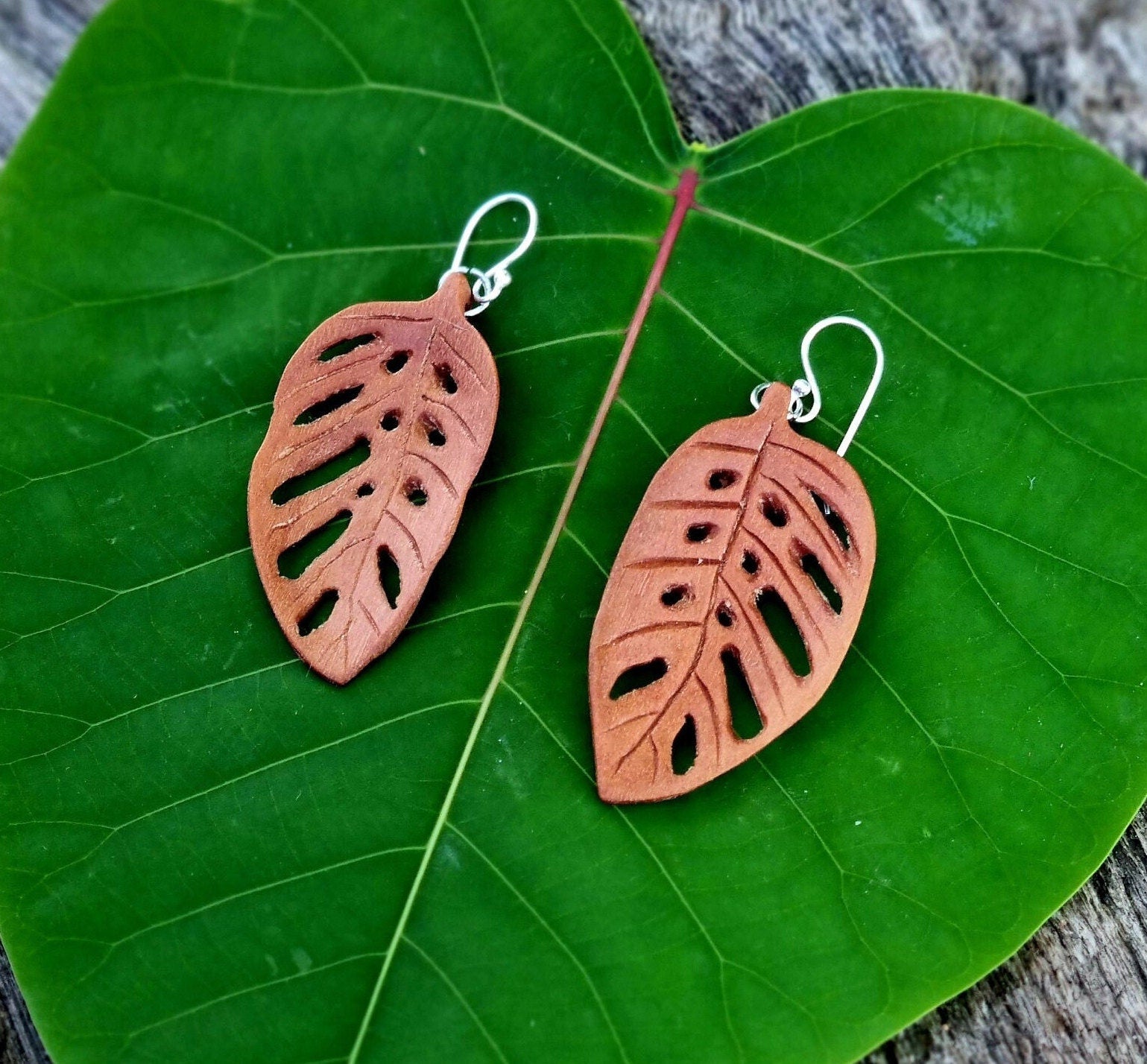 Leaf Earrings - Monstera Adansonii